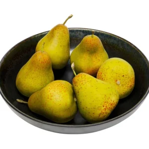 Clearance KARE Design Bowl Kassandra Ø23cm