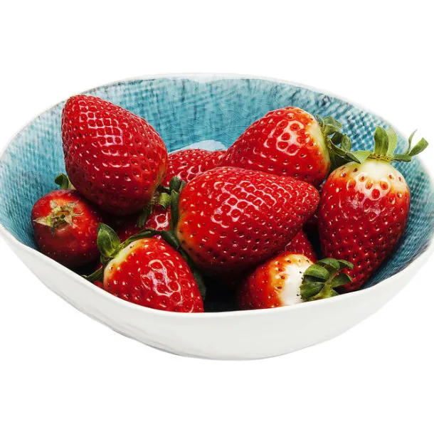bowl_mustique_cm_5.webp Outlet KARE Design Bowl Mustique Ø17cm