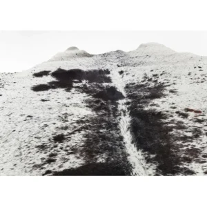 Online KARE Design Carpet Hide Black-white 219x242cm