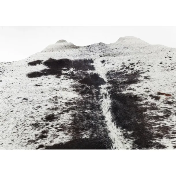 carpet_hide_blackwhite_xc_1.webp Online KARE Design Carpet Hide Black-white 219x242cm