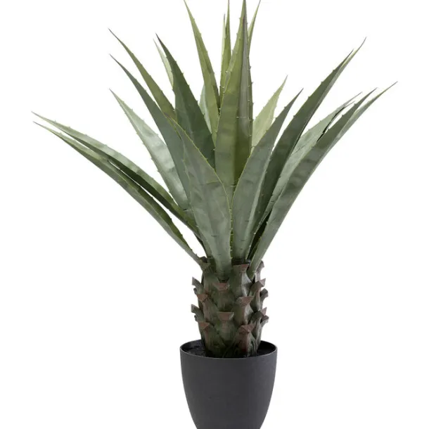 deco_plant_agave_cm_0-1.webp Best KARE Design Deco Plant Agave 85cm