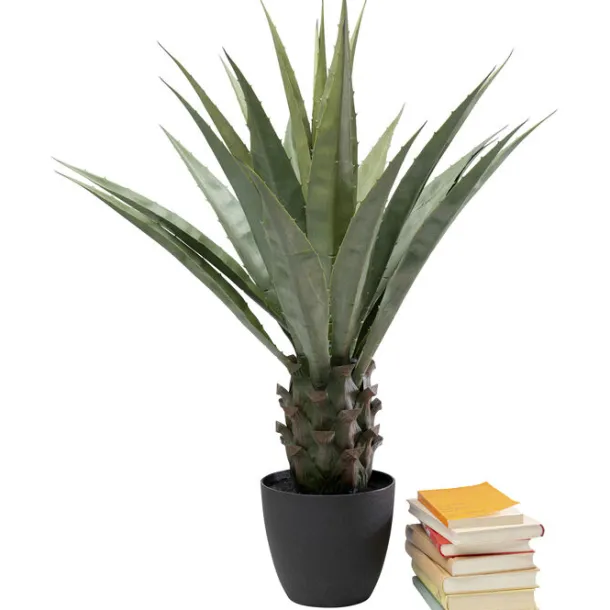 deco_plant_agave_cm_1-1.webp Best KARE Design Deco Plant Agave 85cm