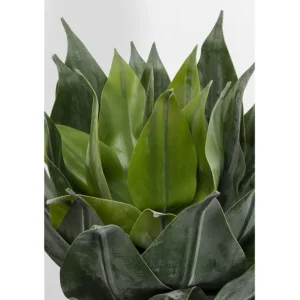 Clearance KARE Design Deco Plant Agave 120cm
