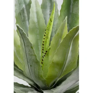 Outlet KARE Design Deco Plant Agave 40cm