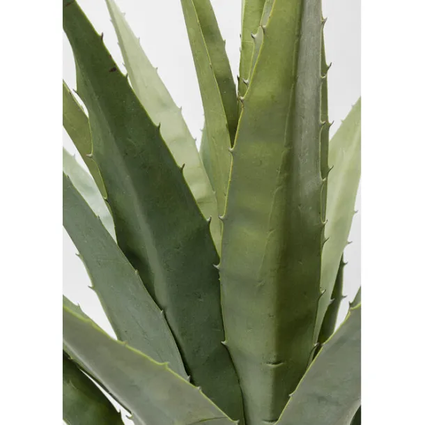 deco_plant_agave_cm_2-1.webp Best KARE Design Deco Plant Agave 85cm