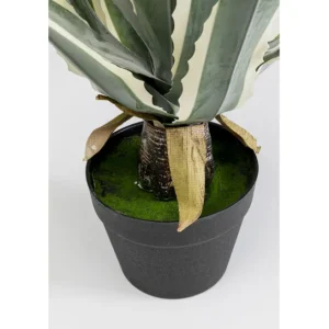 Hot KARE Design Deco Plant Agave 50cm
