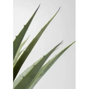 Best KARE Design Deco Plant Agave 85cm