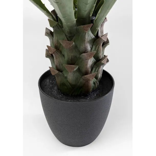 deco_plant_agave_cm_4.webp Best KARE Design Deco Plant Agave 85cm