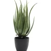 New KARE Design Deco Plant Aloe 69cm