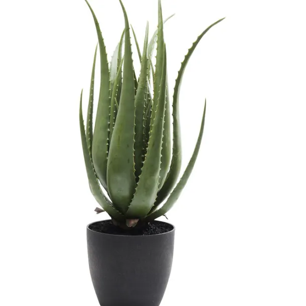deco_plant_aloe_cm_0.webp New KARE Design Deco Plant Aloe 69cm