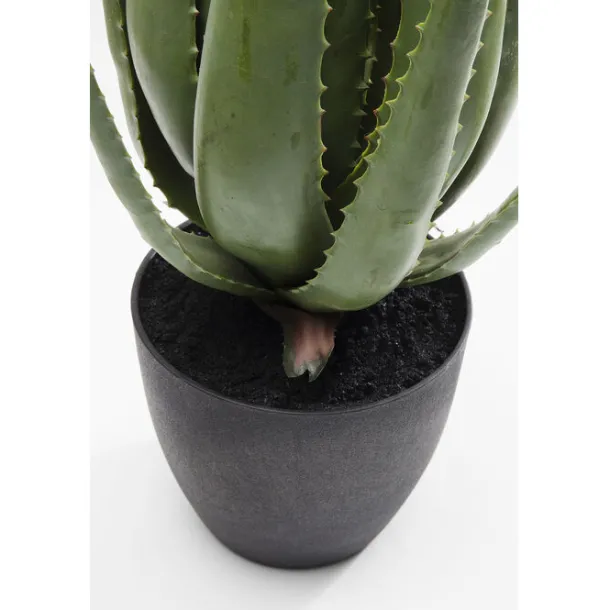 deco_plant_aloe_cm_2.webp New KARE Design Deco Plant Aloe 69cm