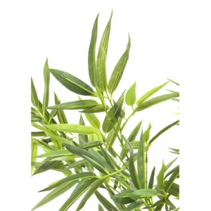 Outlet KARE Design Deco Plant Bamboo Tree 200cm