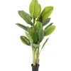 Outlet KARE Design Deco Plant Banana Tree 180cm