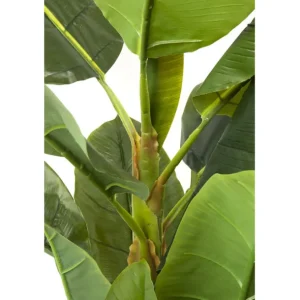 Outlet KARE Design Deco Plant Banana Tree 180cm