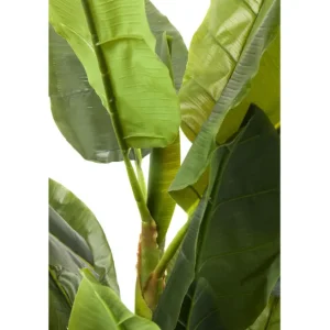 Outlet KARE Design Deco Plant Banana Tree 180cm