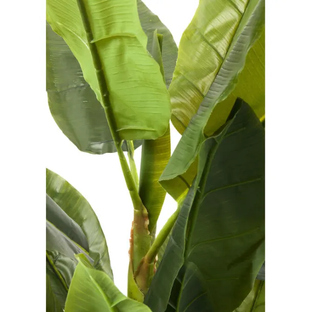 deco_plant_banana_tree_cm_6.webp Outlet KARE Design Deco Plant Banana Tree 180cm