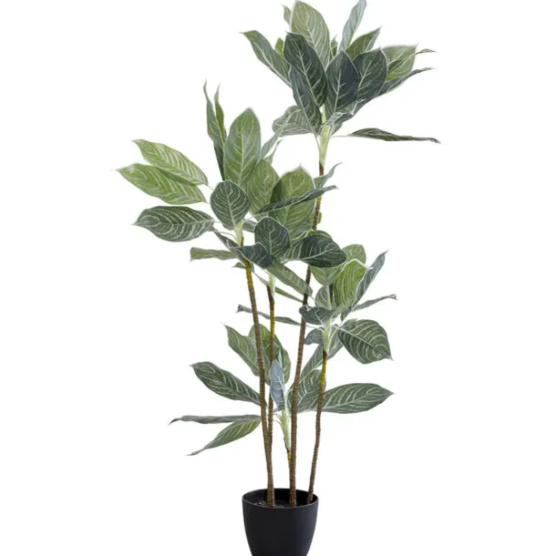 deco_plant_calathea_cm_0.webp Sale KARE Design Deco Plant Calathea 140cm