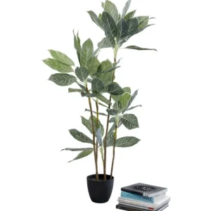 Sale KARE Design Deco Plant Calathea 140cm