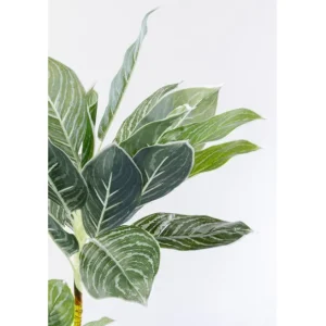 Sale KARE Design Deco Plant Calathea 140cm
