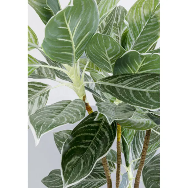 deco_plant_calathea_cm_3.webp Sale KARE Design Deco Plant Calathea 140cm