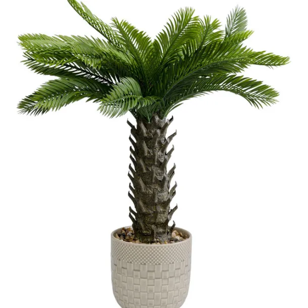 deco_plant_cycas_cm_0.webp Best KARE Design Deco Plant Cycas 70cm