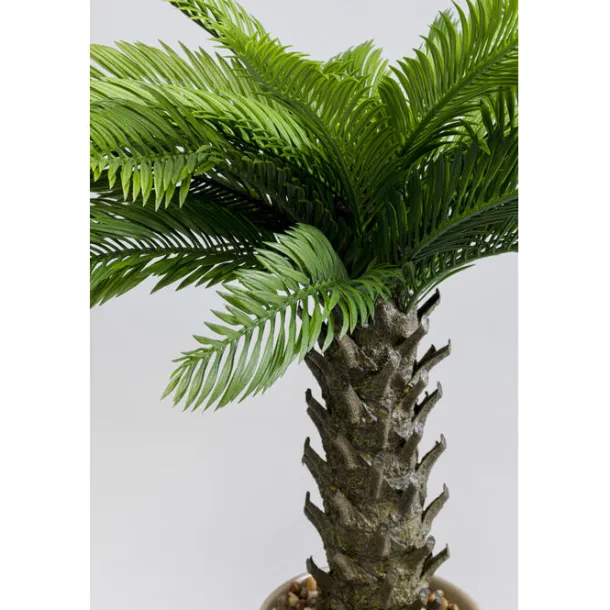 deco_plant_cycas_cm_1.webp Best KARE Design Deco Plant Cycas 70cm