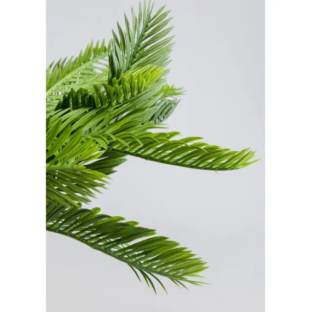 deco_plant_cycas_cm_2.webp Best KARE Design Deco Plant Cycas 70cm