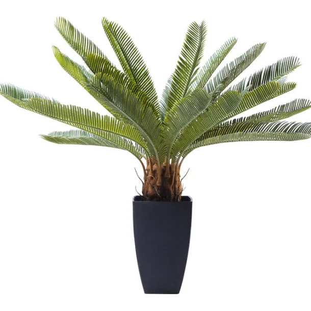 deco_plant_cycas_tree_cm_0.webp Discount KARE Design Deco Plant Cycas Tree 78cm
