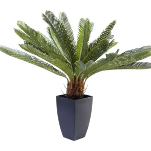 Discount KARE Design Deco Plant Cycas Tree 78cm