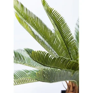 Discount KARE Design Deco Plant Cycas Tree 78cm