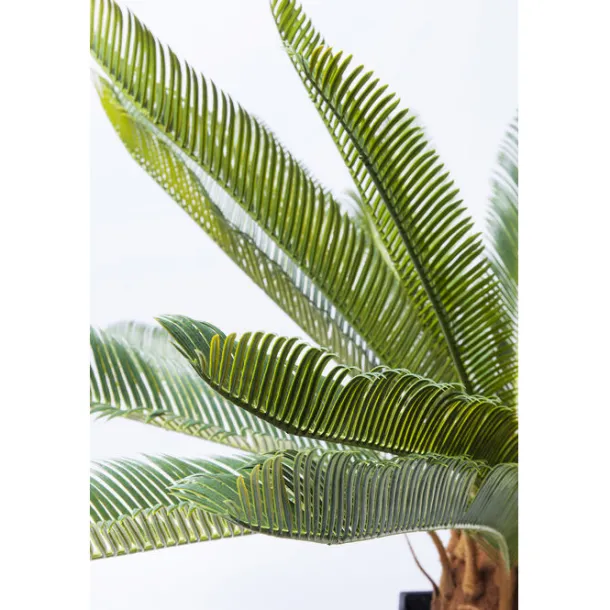 deco_plant_cycas_tree_cm_4.webp Discount KARE Design Deco Plant Cycas Tree 78cm