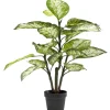 Fashion KARE Design Deco Plant Dieffenbachie 100cm