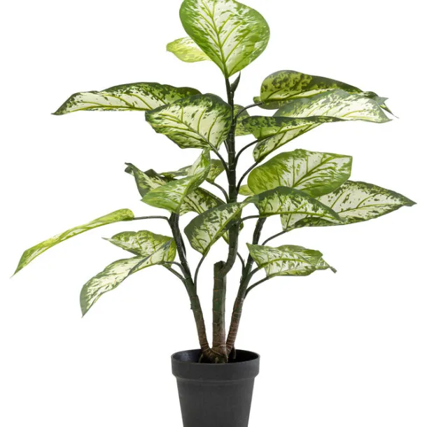 deco_plant_dieffenbachie__0.webp Fashion KARE Design Deco Plant Dieffenbachie 100cm