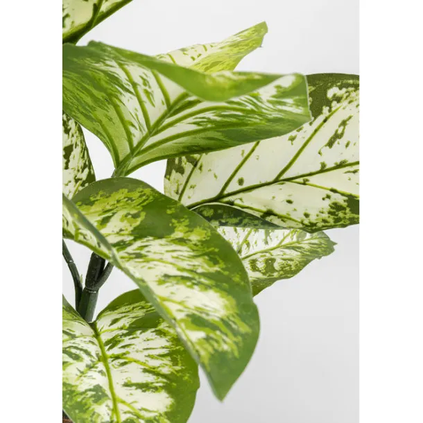 deco_plant_dieffenbachie__3.webp Fashion KARE Design Deco Plant Dieffenbachie 100cm