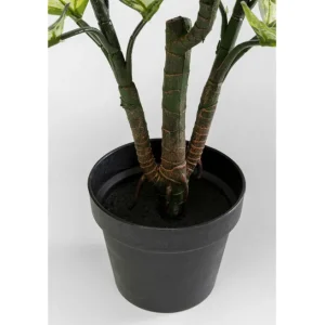 Fashion KARE Design Deco Plant Dieffenbachie 100cm