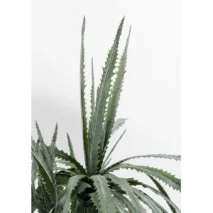 New KARE Design Deco Plant Dragon Tree 155cm