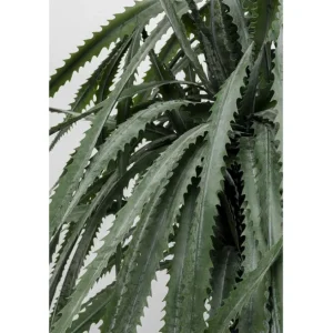 New KARE Design Deco Plant Dragon Tree 155cm