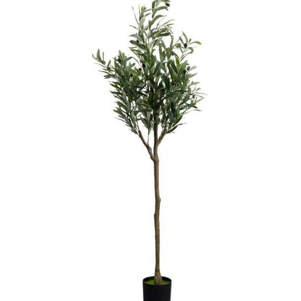 deco_plant_olive_tree_cm_0-1.webp Discount KARE Design Deco Plant Olive Tree 150cm
