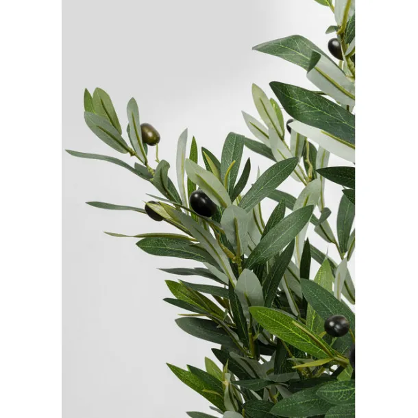 deco_plant_olive_tree_cm_1-1.webp Discount KARE Design Deco Plant Olive Tree 150cm