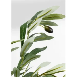 Discount KARE Design Deco Plant Olive Tree 150cm