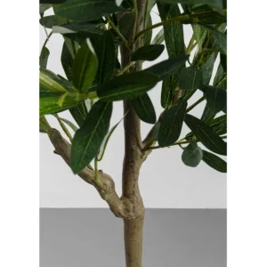 Discount KARE Design Deco Plant Olive Tree 150cm