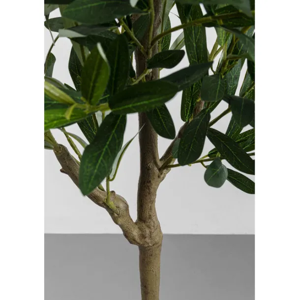 deco_plant_olive_tree_cm_3-1.webp Discount KARE Design Deco Plant Olive Tree 150cm