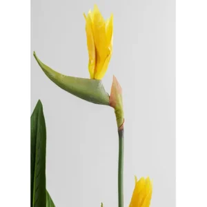 New KARE Design Deco Plant Paradise Flowers 190cm