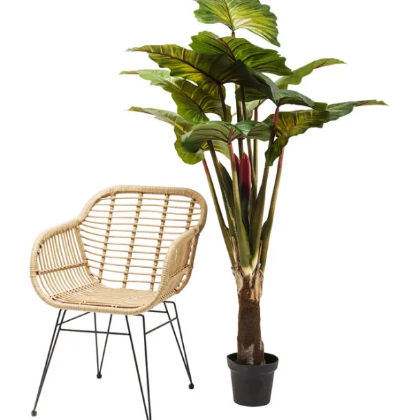 deco_plant_rainforest_gre_2.webp Fashion KARE Design Deco Plant Rainforest Green 160cm