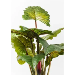 Fashion KARE Design Deco Plant Rainforest Green 160cm