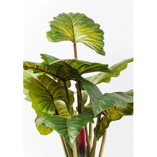 deco_plant_rainforest_gre_3.webp Fashion KARE Design Deco Plant Rainforest Green 160cm