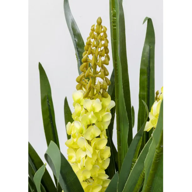 deco_plant_rhynchostylis__2.webp Discount KARE Design Deco Plant Rhynchostylis 150cm