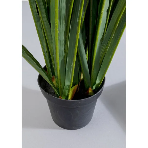 deco_plant_rhynchostylis__3.webp Discount KARE Design Deco Plant Rhynchostylis 150cm