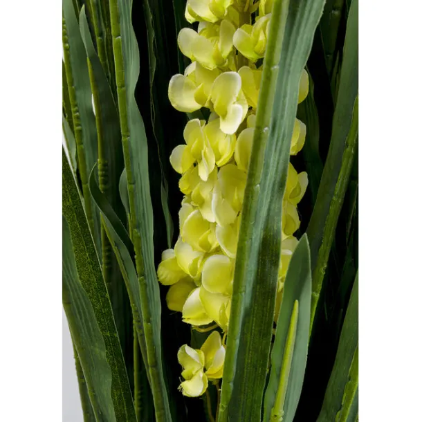 deco_plant_rhynchostylis__4.webp Discount KARE Design Deco Plant Rhynchostylis 150cm