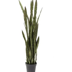 Clearance KARE Design Deco Plant Sansewieria 155cm